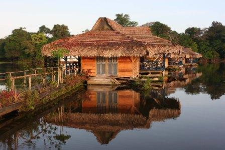 Amazon tours cruisesl