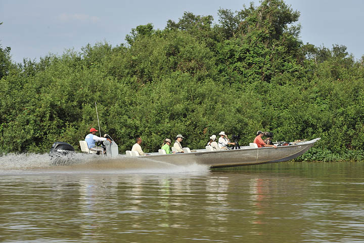 Jaguars Pantanal wildlife photography tours Brazil