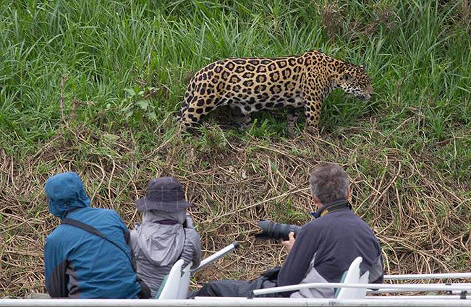 Tours in the Pantanal