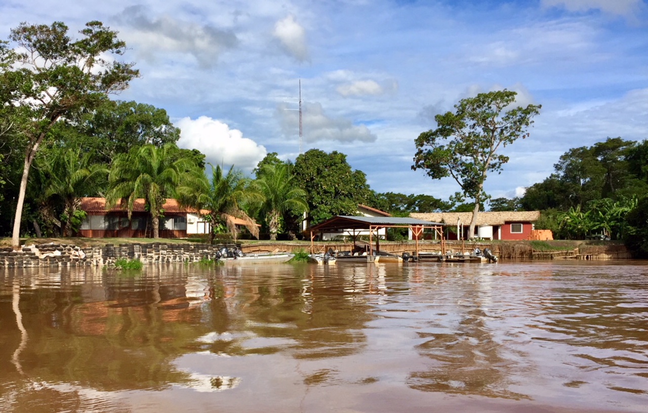 jaguars, pantanal, tours, brazil, photography, wildlife