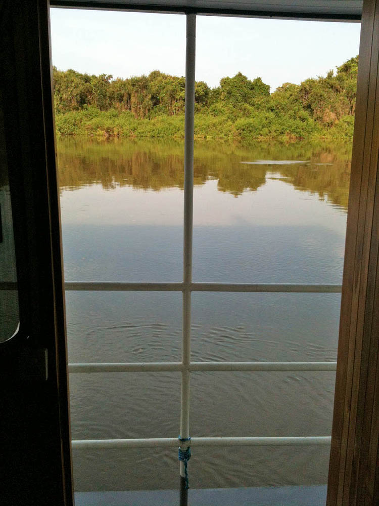 jaguars, pantanal, tours, brazil, photography, wildlife